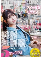 【マッサージ・リフレ❤新川空】大阪→東京 東海道を縦断しファンの男性を訪ねてリクエストに全部応える発射無制限おもてなしツアー 5セックス！ 新川空
