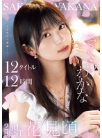 【スレンダー❤さくらわかな】さくらわかな 2nd BEST 花見頃 12タイトル12時間